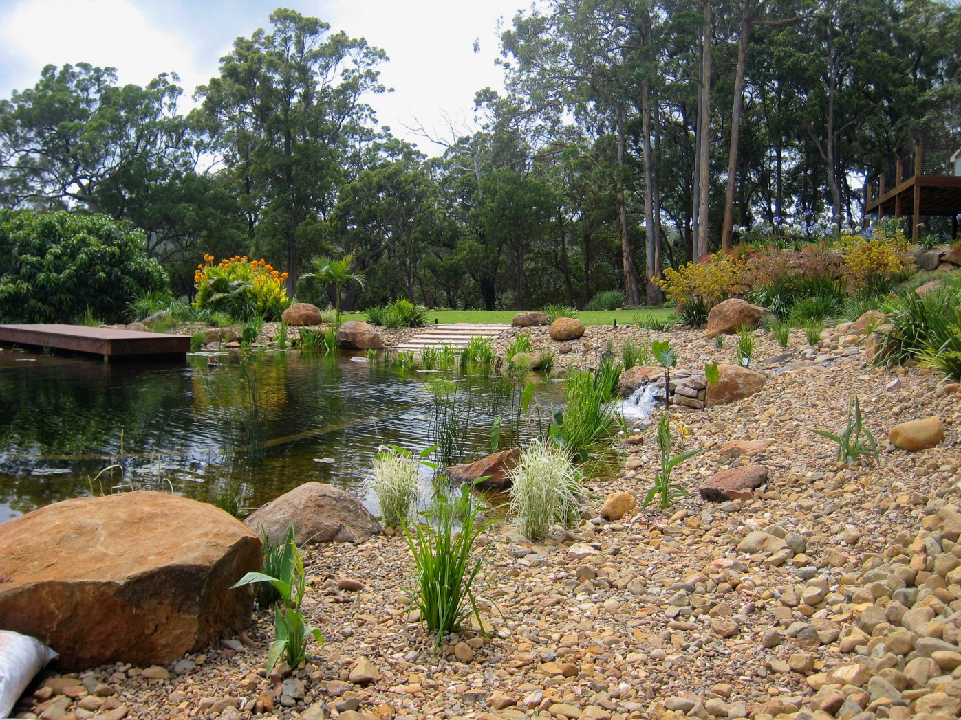 Natural Swimming Pool – After 1
