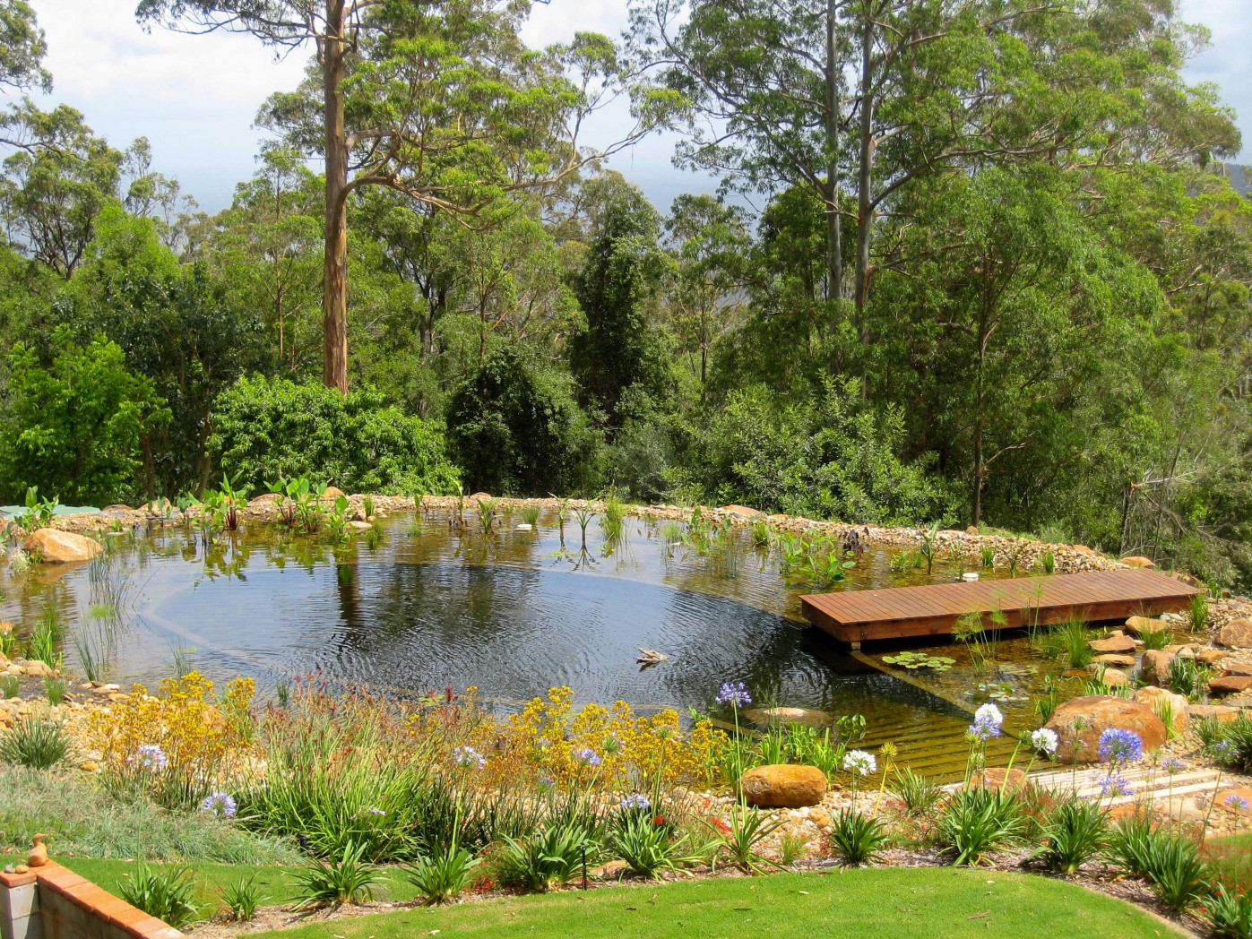 Natural Swimming Pool – After 6