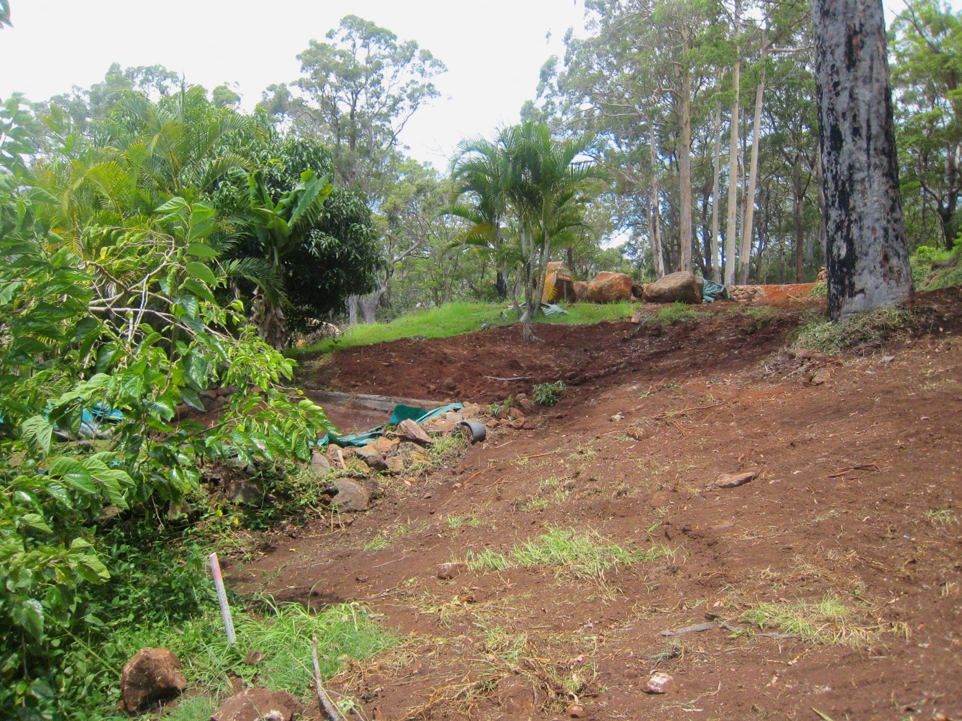 Natural Swimming Pool – Before